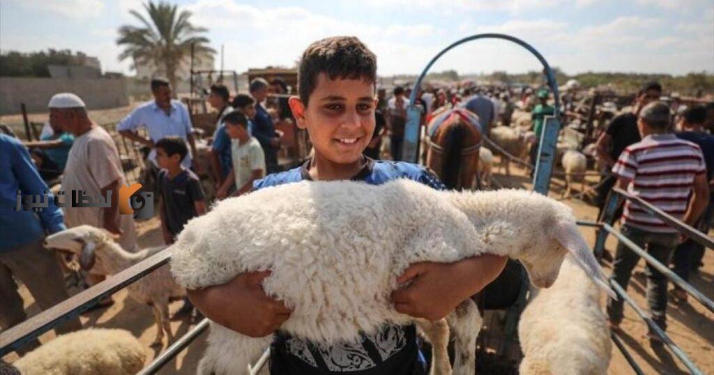 أهم شروط الأضحية وموعد الأضحية 1443