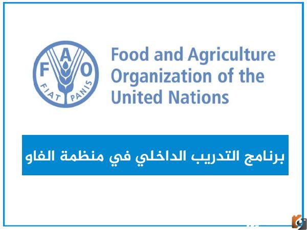 يمكنك الآن التعرف على كيفية التقديم للحصول على الدعم المالي بالمملكة السعودية والشروط المستوفاة للتقديم