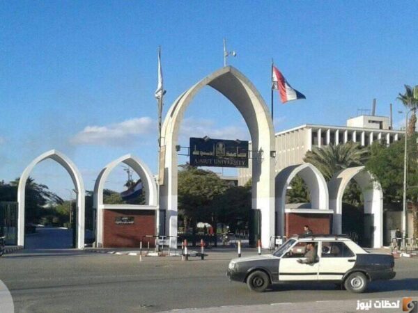 نتائج جامعة أسيوط 2022 نتيجة جامعة أسيوط 2023