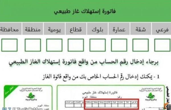 استعلام عن فاتورة الغاز 2025 الاستعلام عن فاتورة الغاز بالرقم القومي 2025