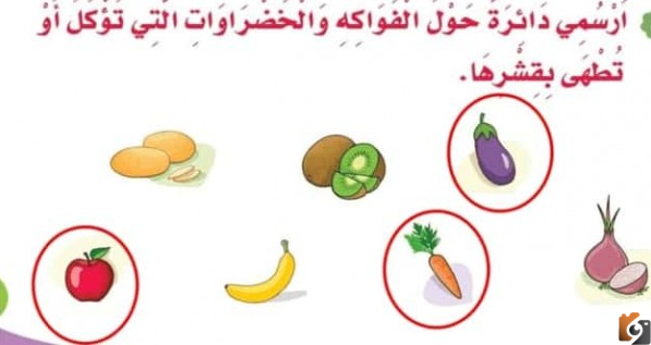 جهزت نوره بعض الفواكه والخضروات نوع كلمه جهزت؟