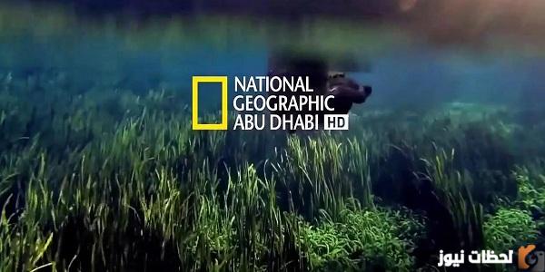 33+ تردد قناة ناشيونال جيوغرافيك الجديد 2025