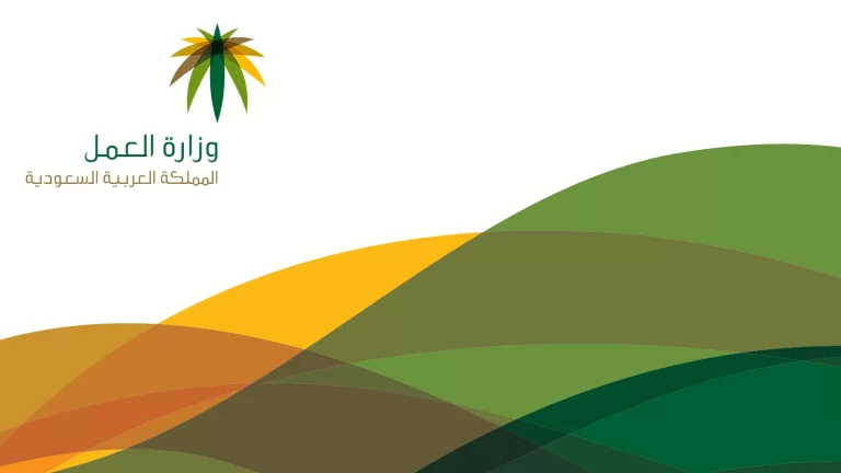 كيفية حجز شكوى مكتب العمل 2025 تقديم شكوى لمكتب العمل ضد شركة