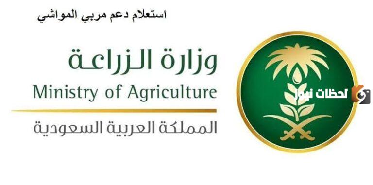 موعد نزول دعم النفاذ الوطني .. الاستعلام عن دعم المواشي 1447 في المملكة العربية السعودية