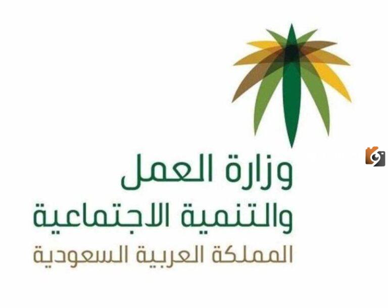 الاستعلام عن الضمان الاجتماعي المطور 1447 النفاذ الوطني استعلام الضمان الجديد