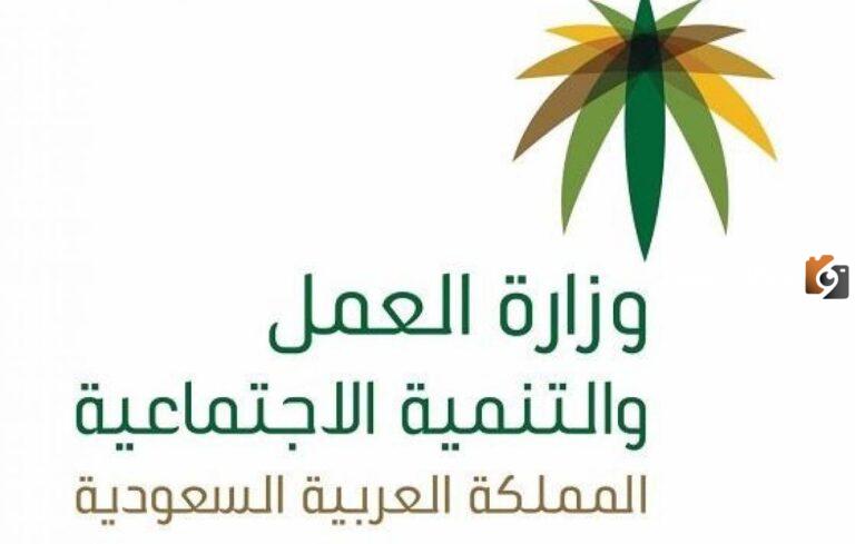 الاستعلام عن المساعدة المقطوعة برقم الطلب 1447 وطريقة التسجيل في مقطوعة الضمان المطور
