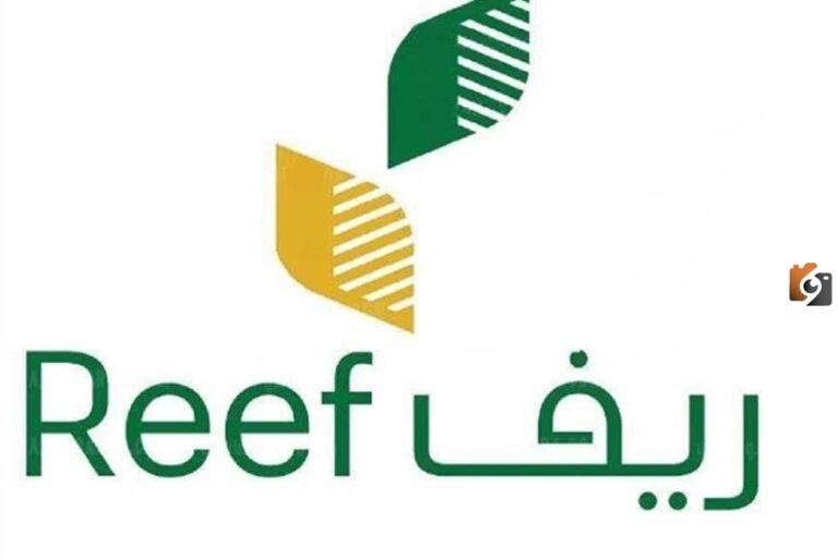 الاستعلام عن المقبولين في دعم ريف reef.gov.sa 1447 والشروط عند التسجيل