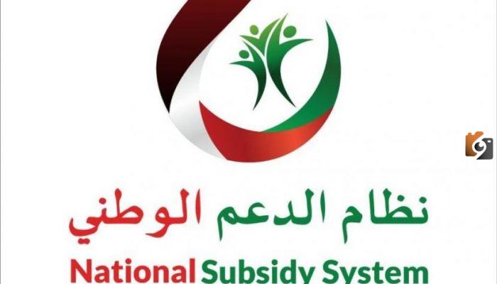 تحديث بيانات دعم الكهرباء