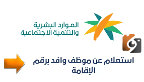 خطوات الاستعلام عن موظف وافد بالمملكة وشروط تجديد الإقامة 1447