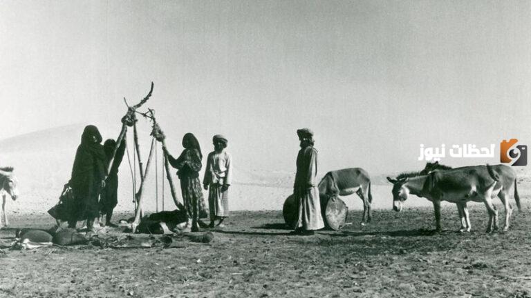 أكبر قبائل الإمارات عددًا.. العوامر وبنو ياس أكثرهم