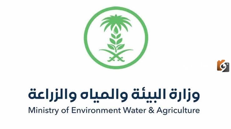 عقوبة جديدة بالسجن والغرامة لمخالفي تنظيم الاحتطاب في المملكة