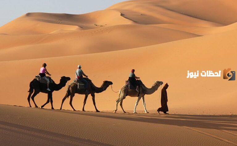 أصل عائلة الخليوي وش يرجعون ؟