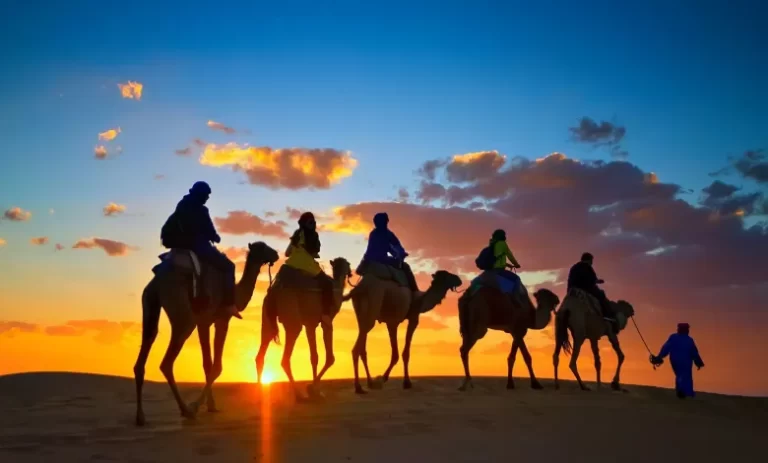 أصل عائلة المعيدي من وين ؟