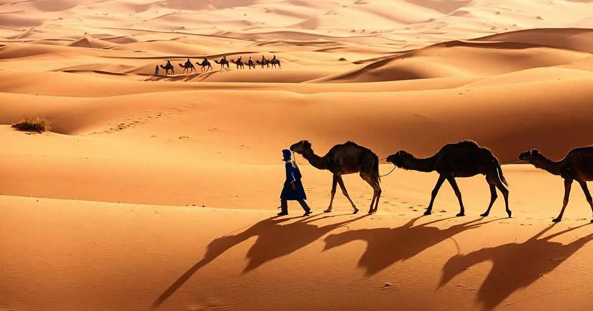 أصل قبيلة العياضي .. تعرف علي العياضات بشكل مفصل