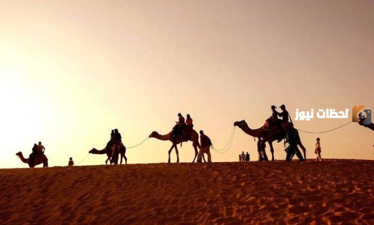 أصل ونسب عائلة آل الشيخ وش يرجع ؟