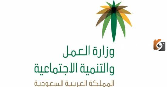 استعلام عن رخصة العمل