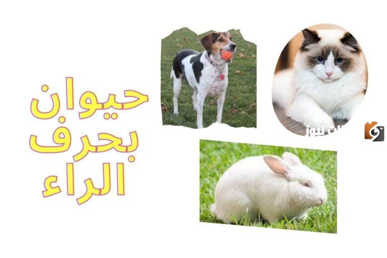 تعرف على اسم حيوان بحرف الراء