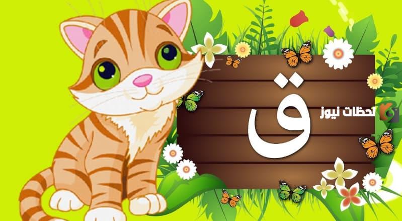 ما هو اسم حيوان بحرف القاف ؟