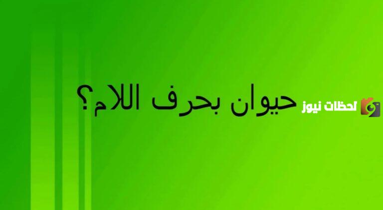 طريقة لعبة اسم حيوان بحرف اللام وأهم مميزاتها