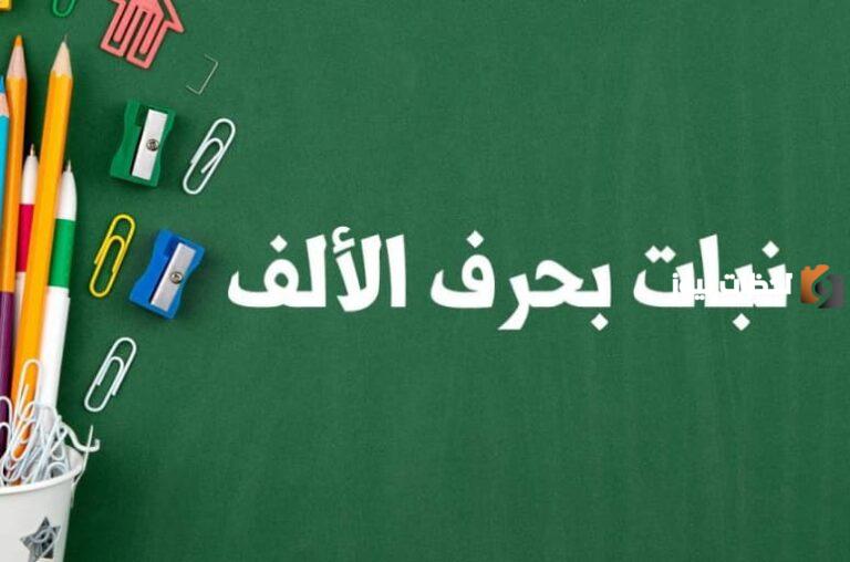 ما هو اسم نبات بحرف الألف ؟