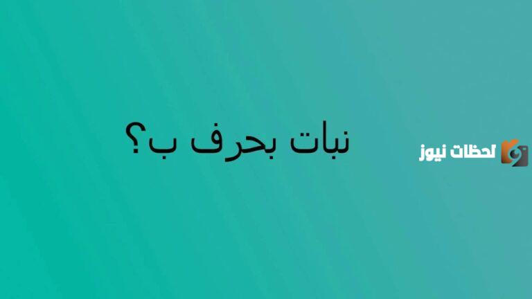 كل ما تريد معرفته عن اسم نبات بحرف الباء