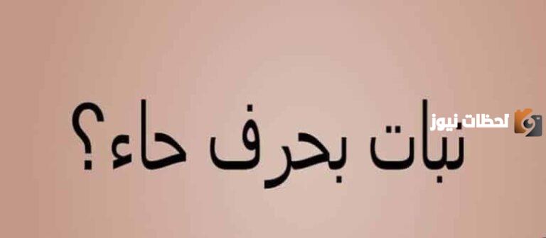 اسم نبات بحرف الحاء غير معروفة ومركبة