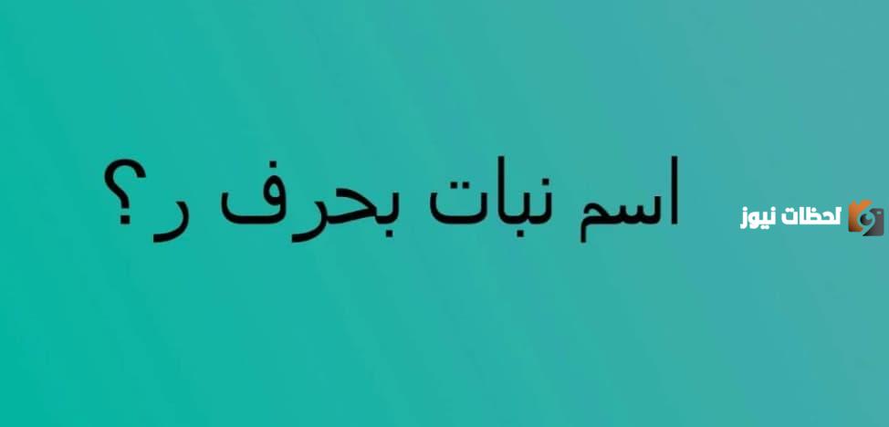 لعبة اسم نبات بحرف الراء – ألعاب ذكاء مسلية