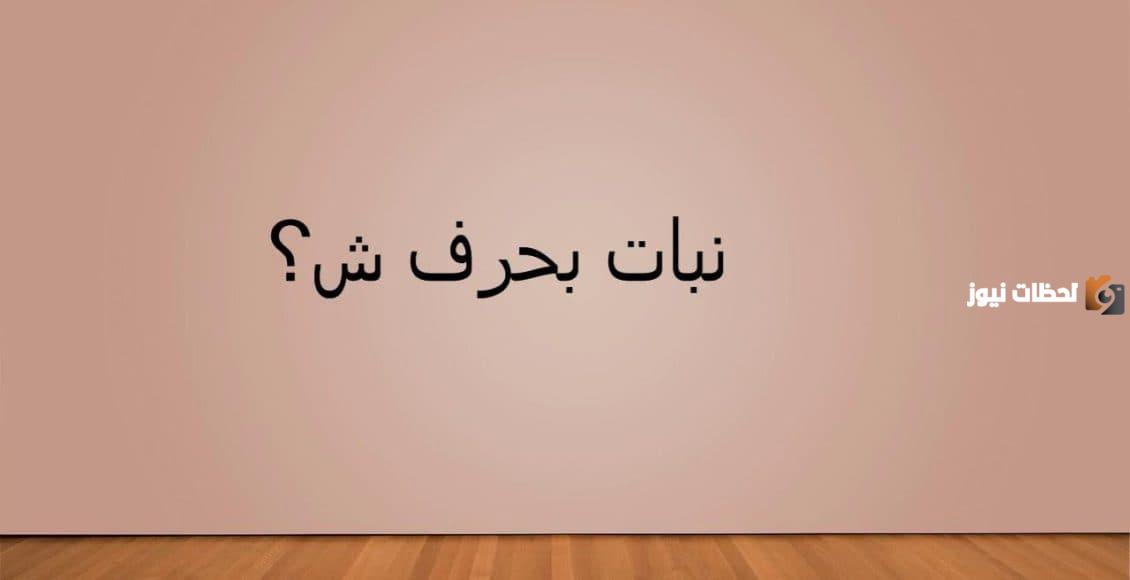 اسم نبات بحرف الشين المعروفة وغير المعروفة
