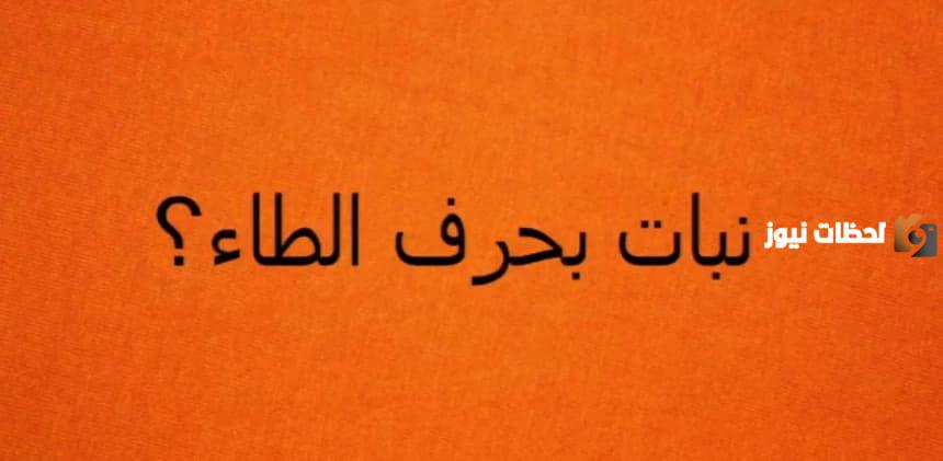اسم نبات بحرف الطاء