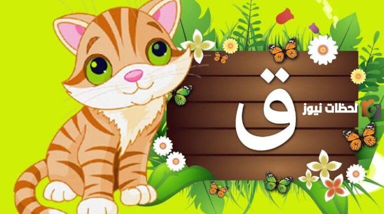 دليلك للتعرف على اسم نبات بحرف القاف