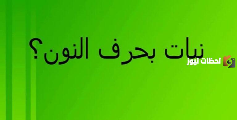 تعرف على اسم نبات بحرف النون
