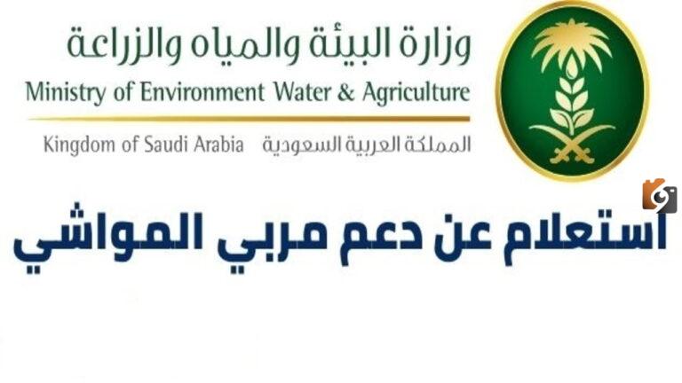 اصدار سجل مربي 1447