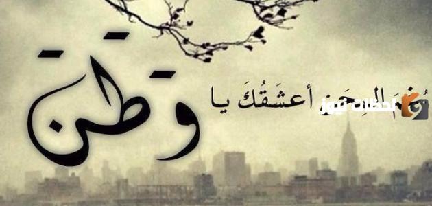 اقتباسات عن الوطن