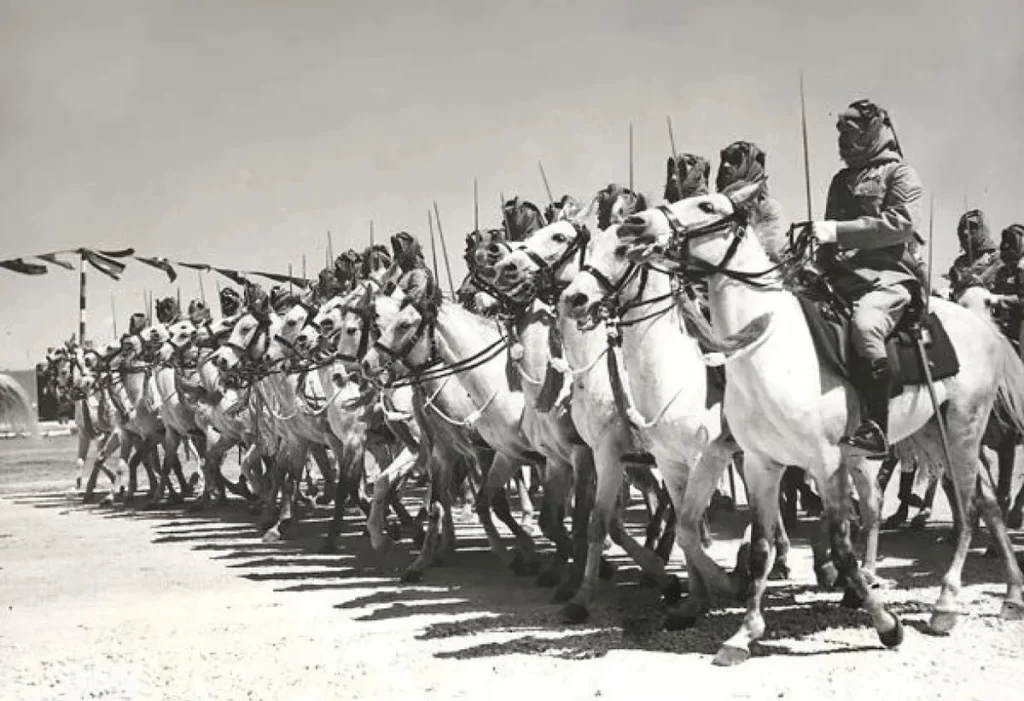 ال صلاح وش يرجعون