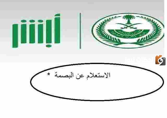 طرييقة الاستعلام عن البصمة عبر بوابة أبشر 1447 برقم الجواز