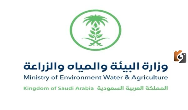 الاستعلام عن سجل مربي 1447