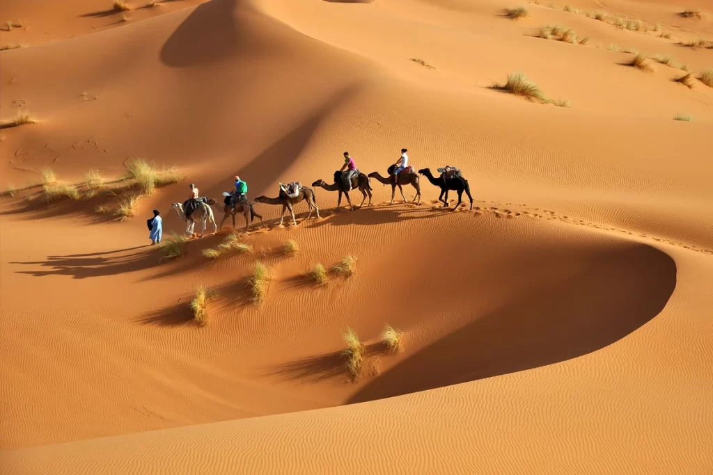 الجحادر وين ديرتهم