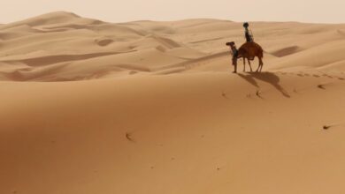 الجعفري وش يرجع