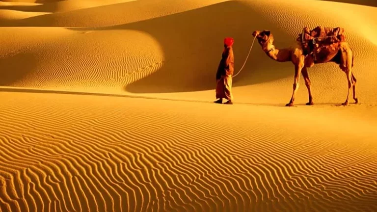 الحسيني وش يرجع وما هي أصول الحسيني بالرياض وعمان