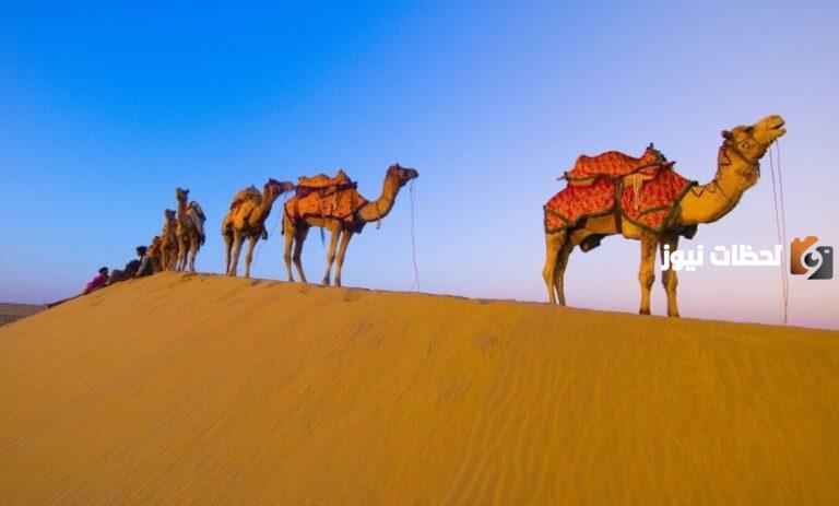الحويل وش يرجعون وما هو اصل تلك العائلة