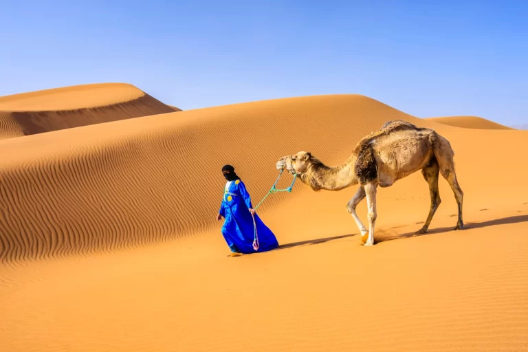 الديحاني وش يرجع ؟ وماذا تنتمي تلك العائلة