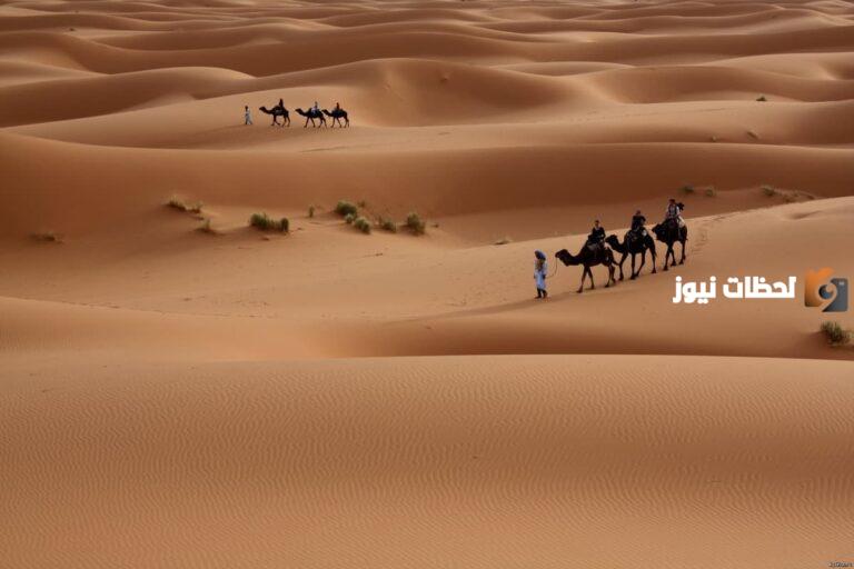الزبيدي وش يرجع؟