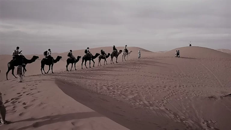 الصبحان وش يرجع ؟ وما هي أصول عائلة الصبحان