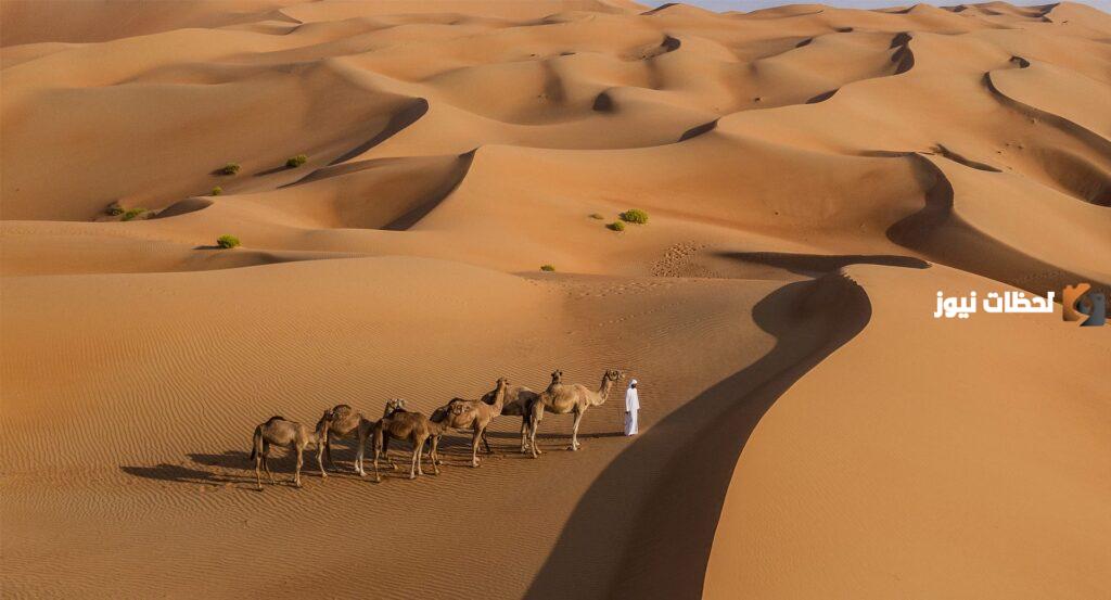 الصقعبي وش يرجعون وما هو اصلهم ؟