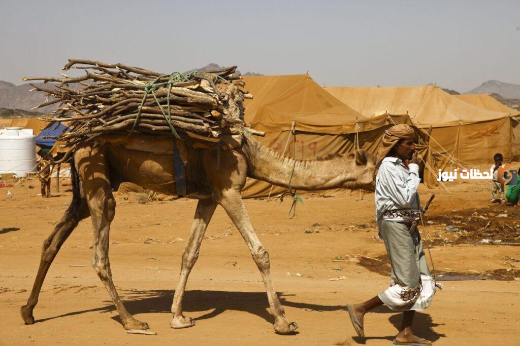قبيلة الطهيمي وش يرجعون