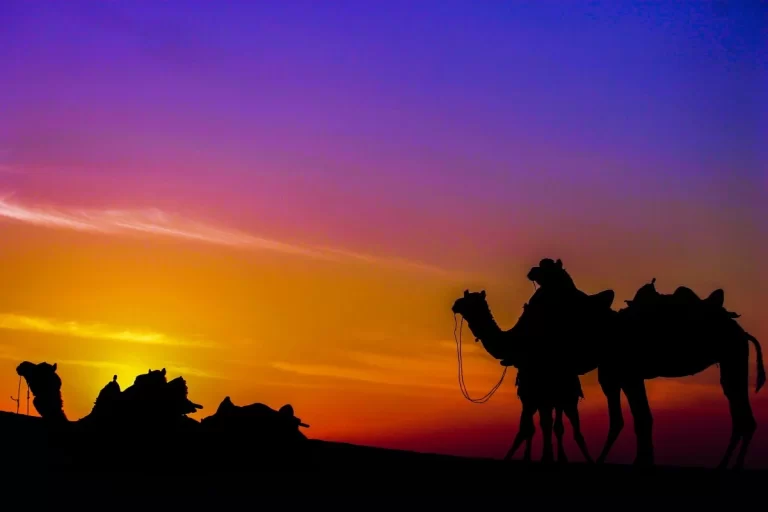 الظفيري وش يرجع وما هي أماكن تمركز القبيلة ؟