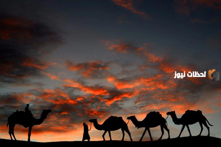 العاصمي وش يرجع