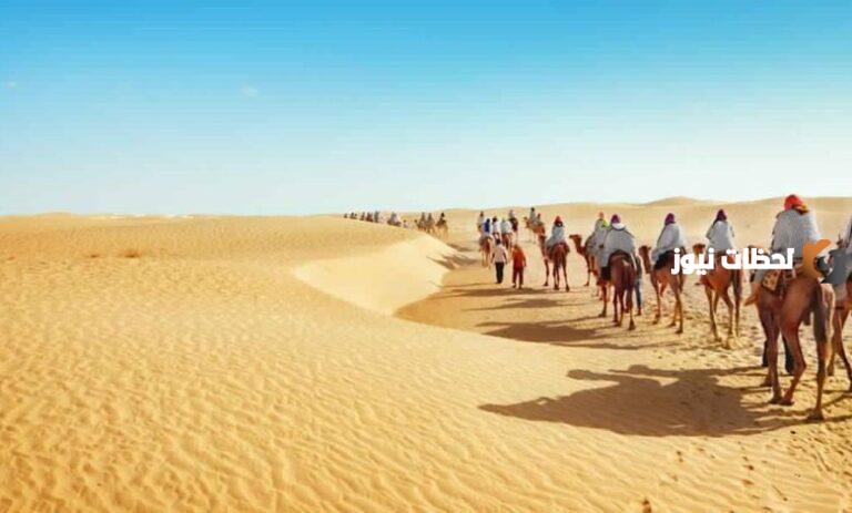 العويس وش يرجعون ؟ وما هي فروع قبيلة العويس