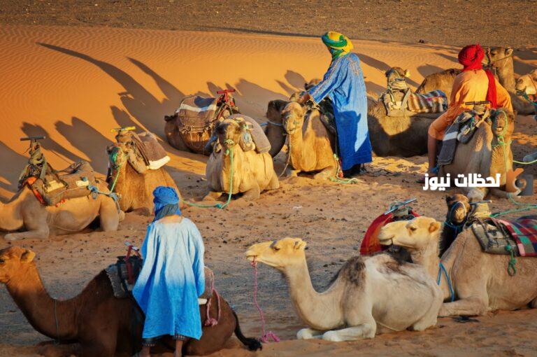 الغويري وش يرجع وما أصل عائلة الغويري ؟