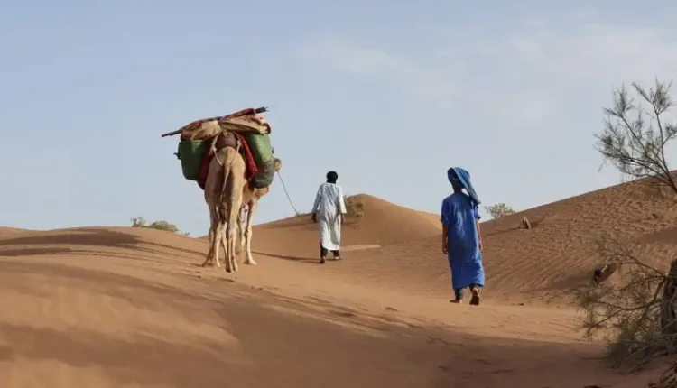 المورقي وش يرجع ؟ وما هو أصل عائلة المورقي
